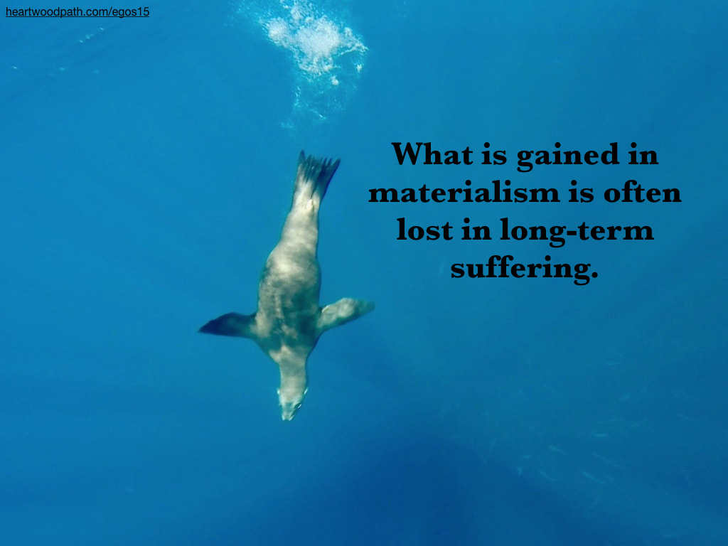 Picture underwater sea lion quote What is gained in materialism is often lost in long-term suffering