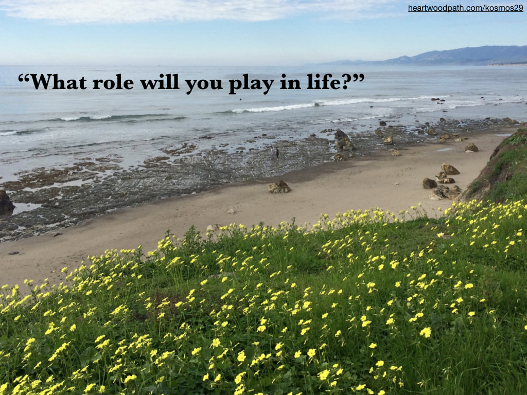 picture ocean with words What role will you play in life?