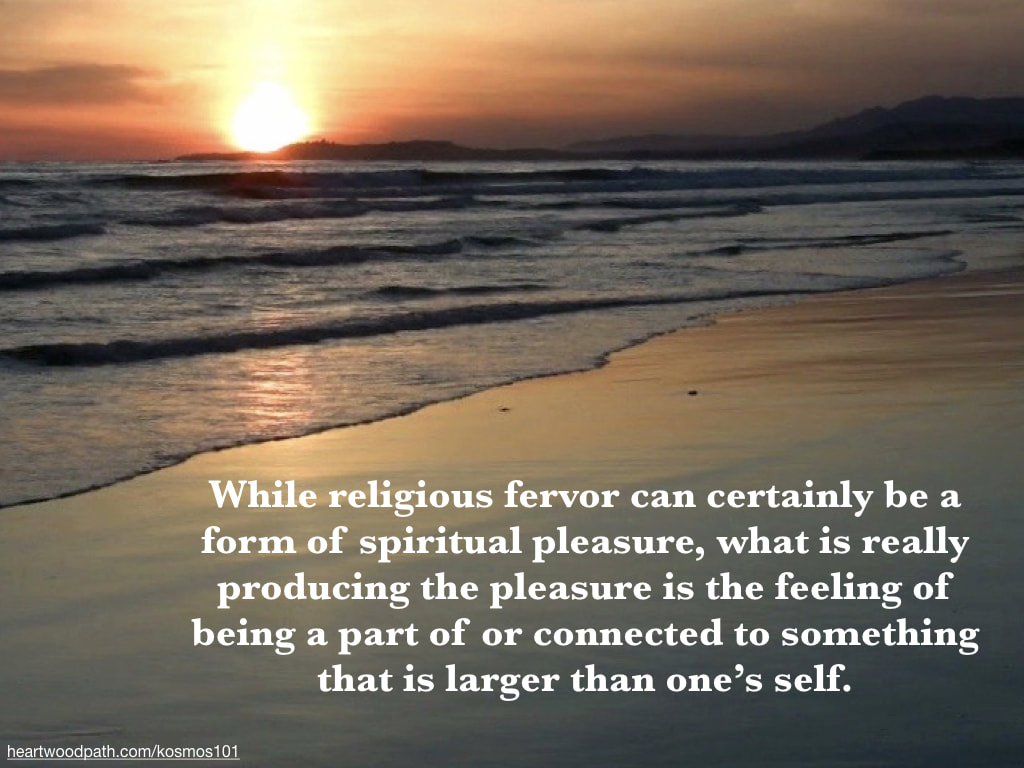picture orange sunset on beach with quote While religious fervor can certainly be a form of spiritual pleasure, what is really producing the pleasure is the feeling of being a part of or connected to something that is larger than one’s self