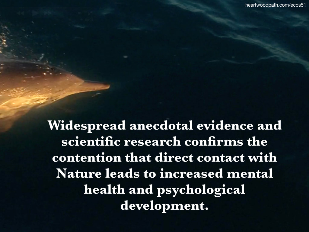 Picture dolphin emerging from the sea quote Widespread anecdotal evidence and scientific research confirms the contention that direct contact with Nature leads to increased mental health and psychological development