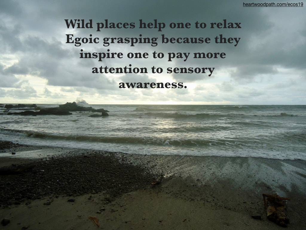 Picture stormy beach quote Wild places help one to relax Egoic grasping because they inspire one to pay more attention to sensory awareness