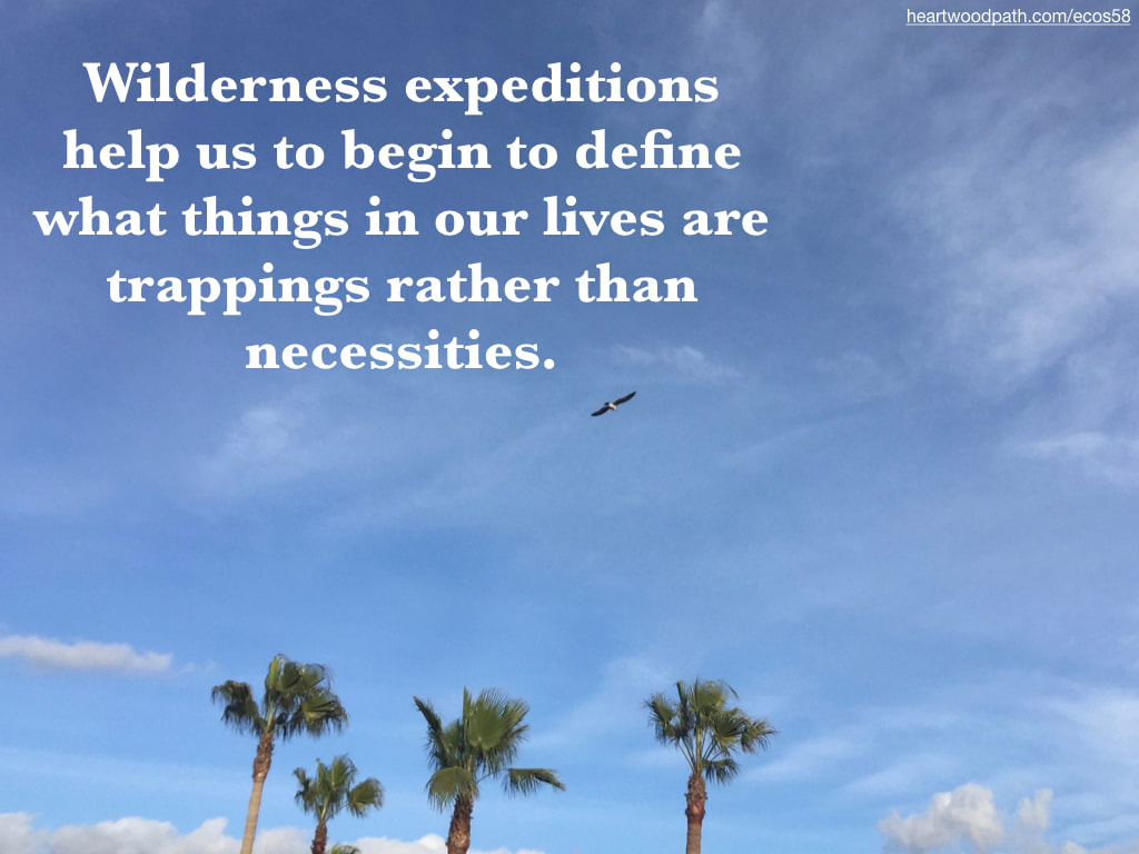 Picture bird flying palm trees sky blue quote Wilderness expeditions help us to begin to define what things in our lives are trappings rather than necessities