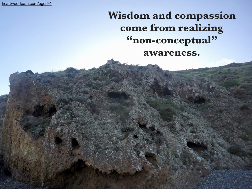 Picture bird next island quote Wisdom and compassion come from realizing “non-conceptual” awareness