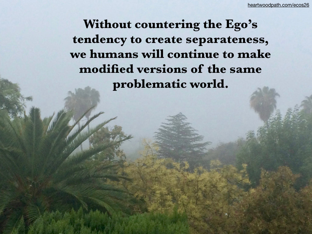 Picture foggy trees quote Without countering the Ego’s tendency to create separateness, we humans will continue to make modified versions of the same problematic world