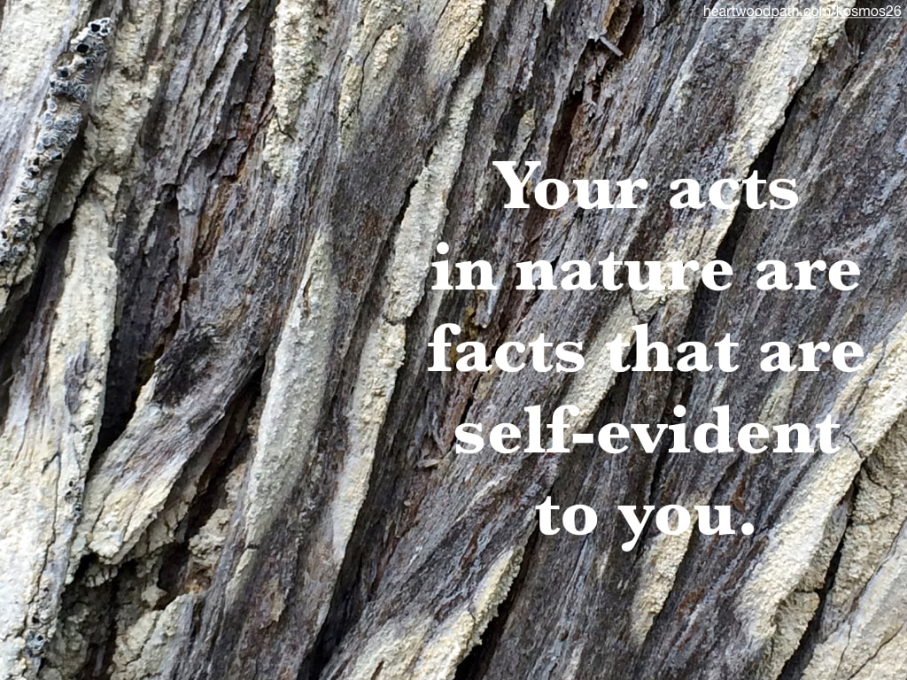 picture bark on tree and words Your acts in nature are facts that are self-evident to you